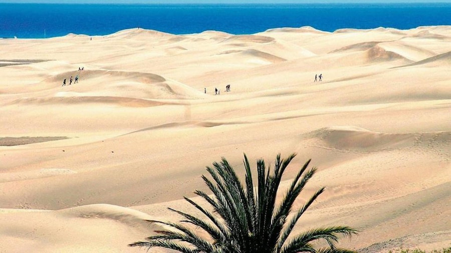 Villa in Maspalomas With Heated Pool & Golf Views