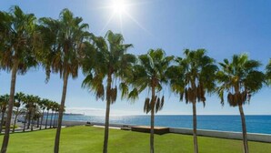 A view of a grassy area with palm trees and a body of water in the background.