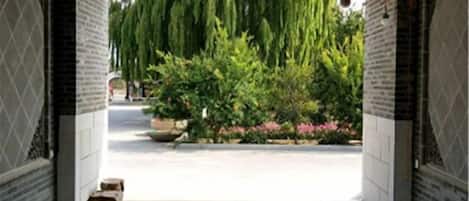 An indoor pathway leading to a garden area with a weeping willow tree and potted plants.