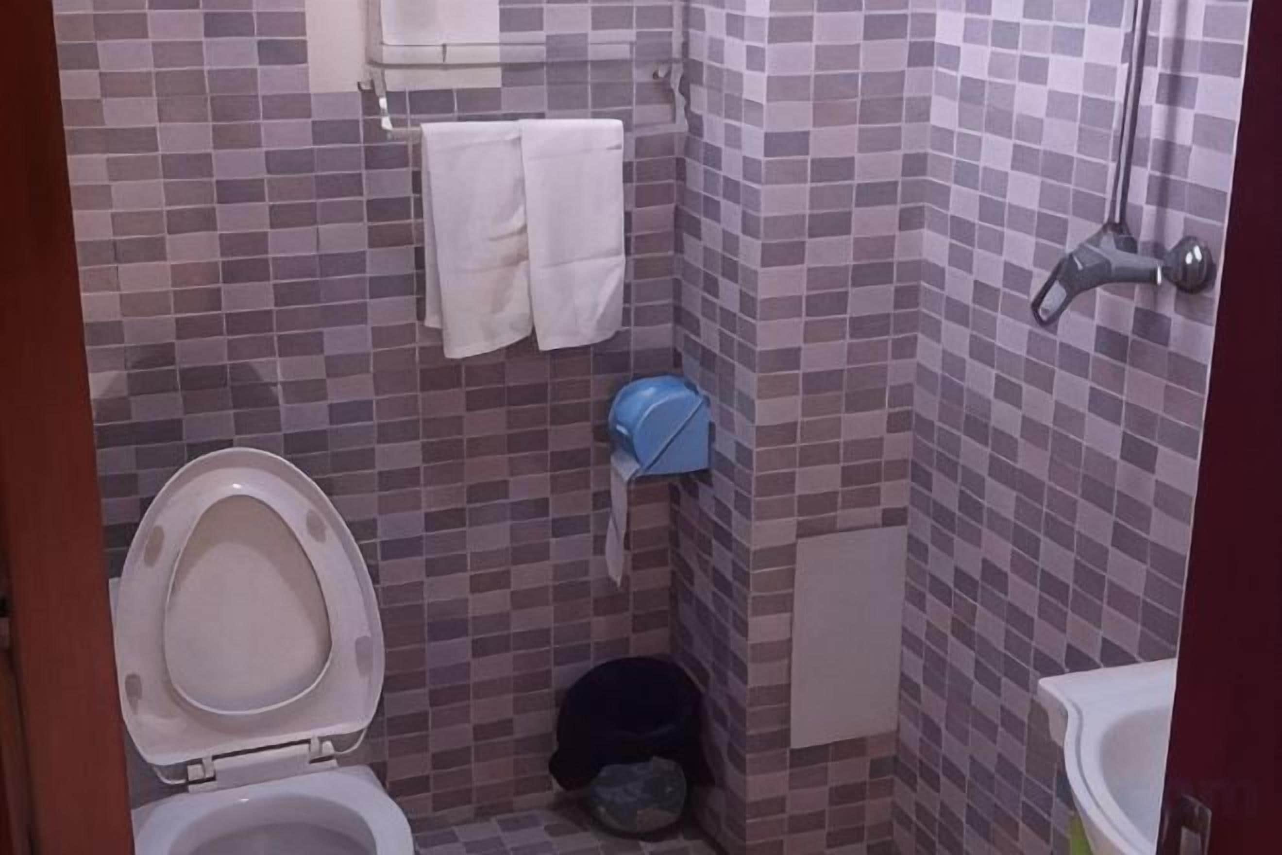 A bathroom with a toilet, a sink, and a shower.