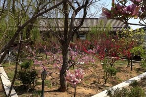 Property grounds - Xinzhuang Seafood Hotel (Zhaoyuan)