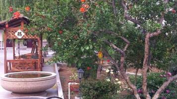 Jardines del alojamiento
