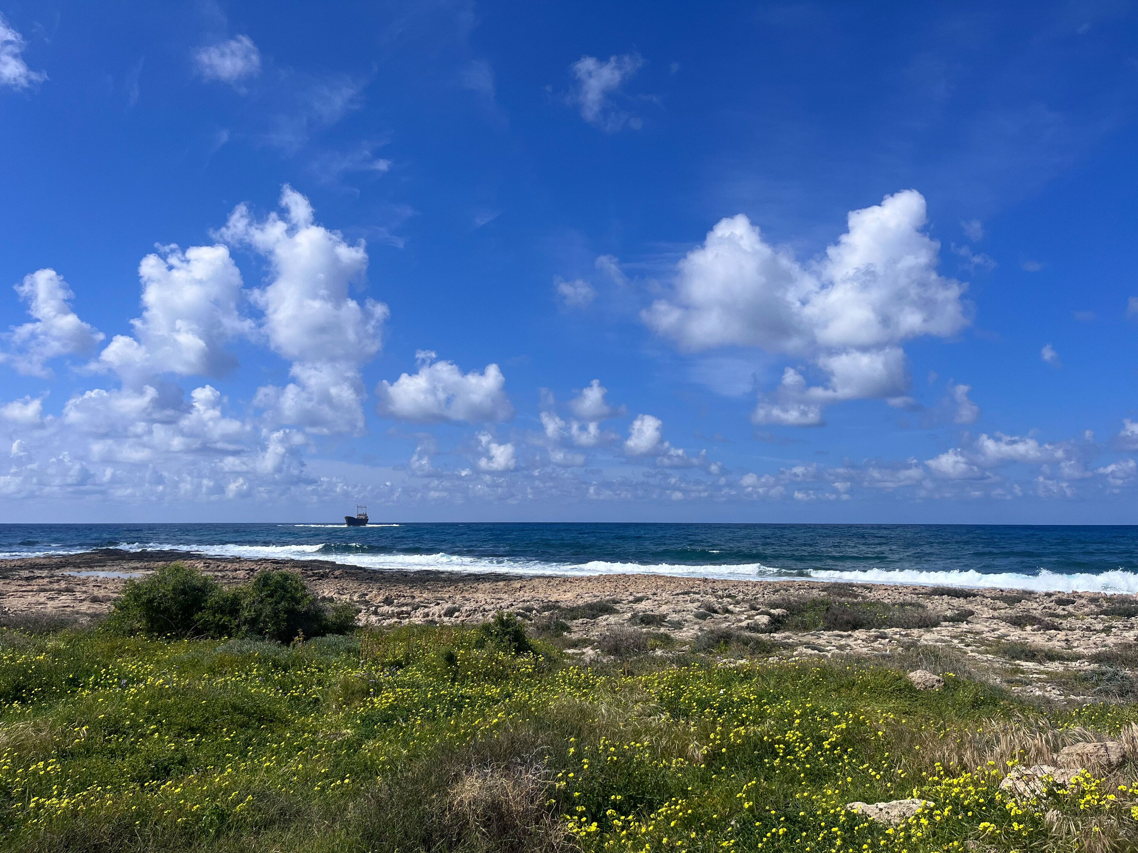 Winter & spring in Cyprus: sunny days, wildflowers, 16 km walk or bike path!