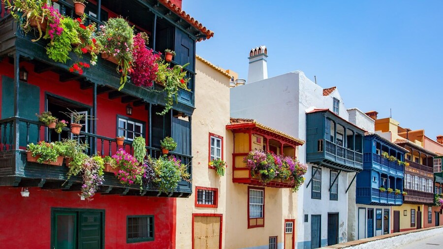 Home Elias LA Palma City