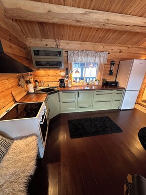 Réfrigérateur, micro-ondes, four, cafetière/bouilloire