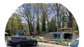 A parking area with two cars, a water feature, and a thatched-roof structure. - Entire House Quite Neighborhood (Kannapolis)