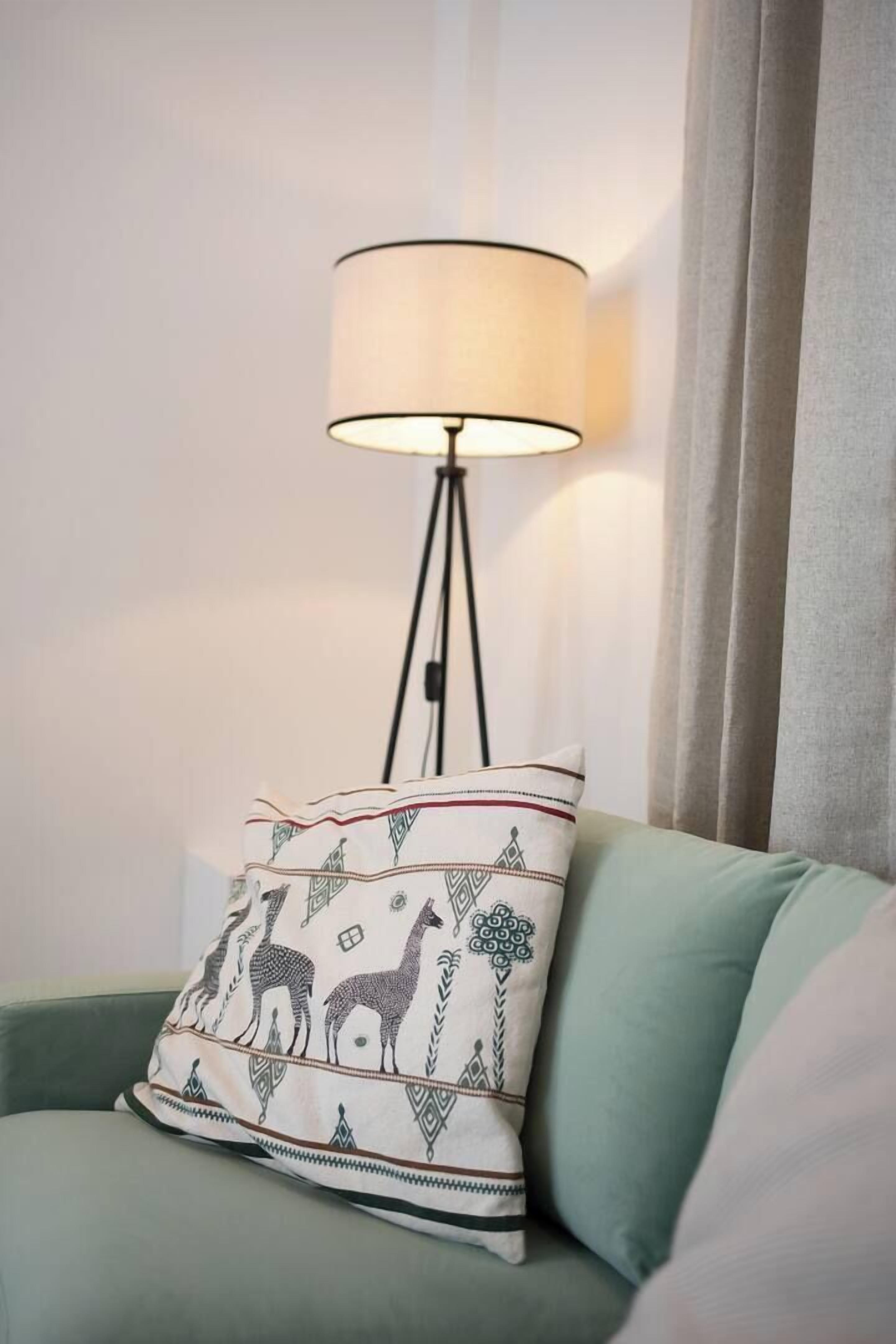 Una habitación con un sofá verde, un cojín estampado y una lámpara de pie.