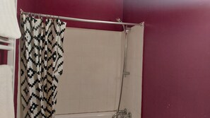 Secador de pelo, toallas y papel higiénico