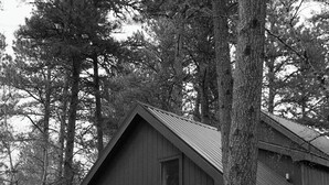 A rustic cabin with a wooden deck, surrounded by tall trees. - Mysa Cabin located in a beautiful wooded area outside of Deadwood - 3BR/2B (Lead)