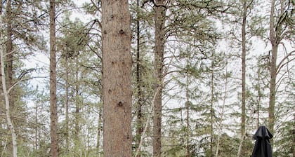 Mysa Cabin located in a beautiful wooded area outside of Deadwood - 3BR/2B