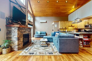 TV, fireplace, DVD player