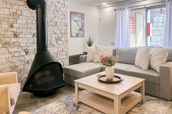 TV, fireplace, DVD player, video library