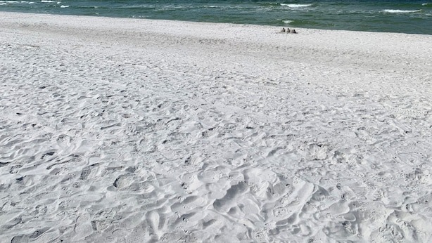 Une plage de sable blanc, sous un ciel bleu azur.