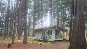 Pieni mökki metsässä, jonne johtaa sorainen polku.