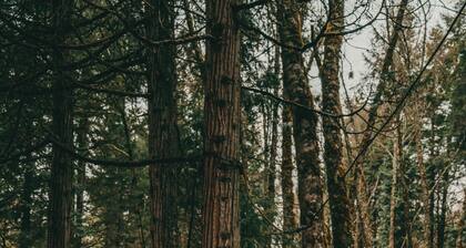 Orchard House, Orchard House Retreat