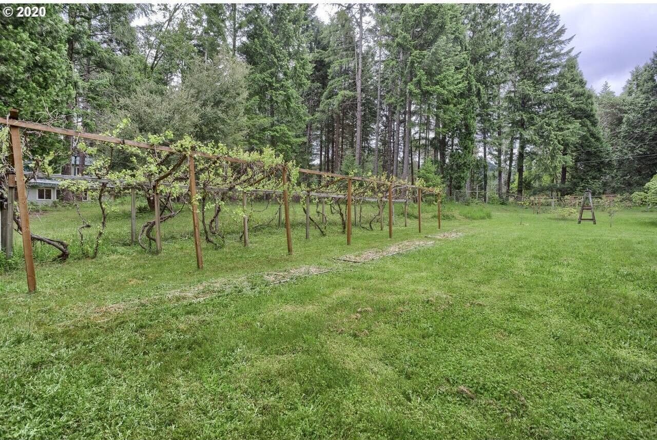 A vineyard with rows of grapevines supported by wooden trellises.