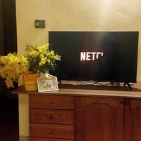 舒适公寓式客房, 独立浴室, 一层 | 私人厨房 | 冰箱、微波炉、炉灶、电热水壶