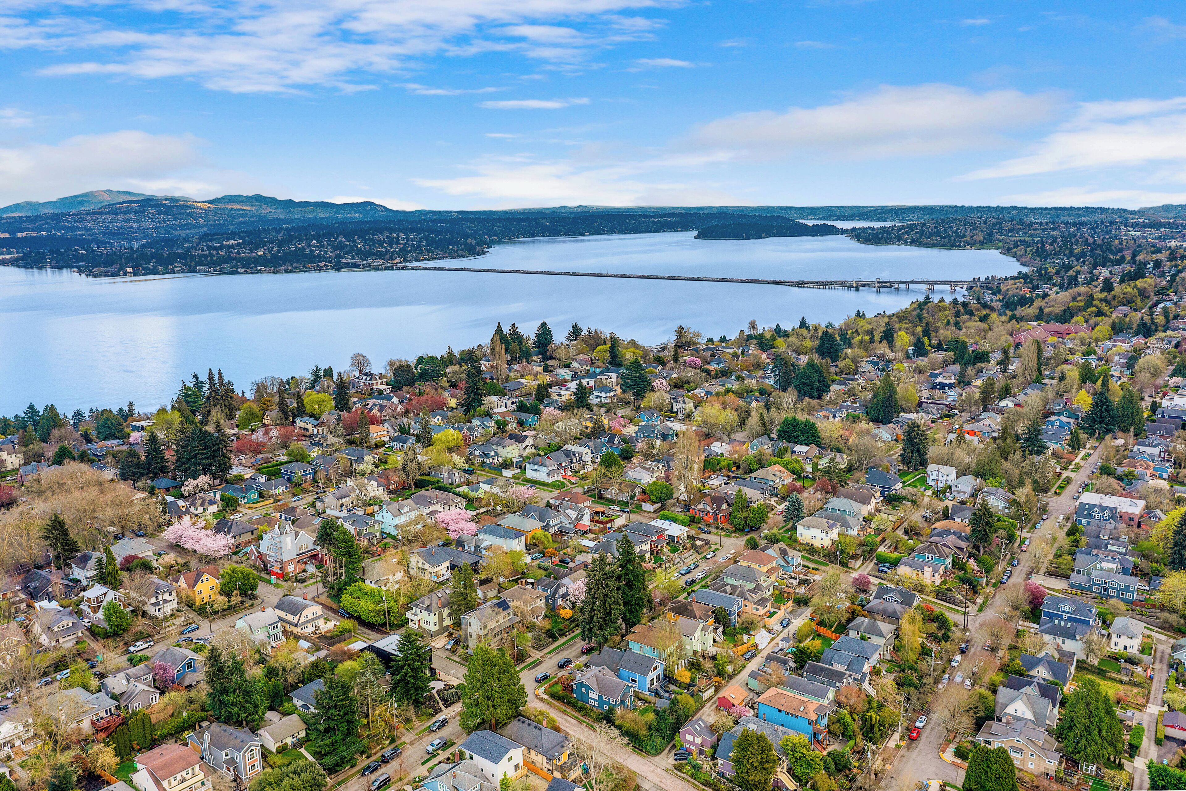 An aerial view of a residential area with houses, trees, and a large body of water in the background.