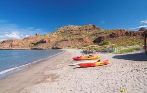 Camastros y toallas de playa 