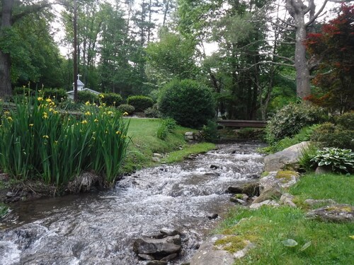 Relax and Recharge in a 1940's Creekside Cabin