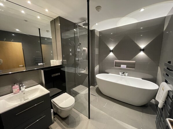 Shower, hair dryer