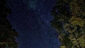 A cabin surrounded by tall trees with a starry night sky above.