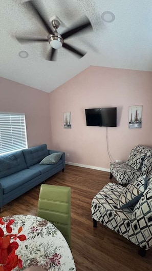 TV