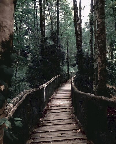 "CABAÑA LOS COIGUES 2308 "NELTUME huilo huilo Chile