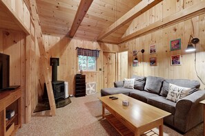 TV, fireplace, DVD player, books