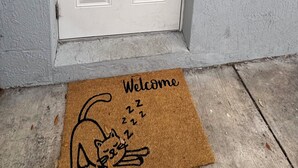 A white door with the number 2, a doormat with a cat drawing, and a cable running along the wall. - Charming Studio Apartment at Lake Worth Beach! (Lake Worth Beach)