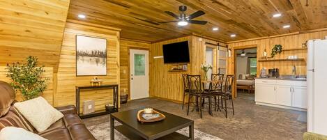 Smart TV, DVD player, video library