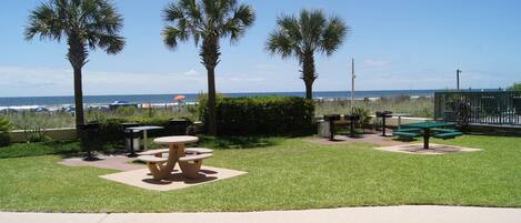 A grassy area with picnic tables and benches, palm trees, and a view of the ocean.