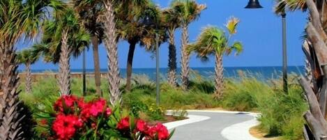 Condo, Multiple Beds, Balcony, Ocean View (Sedgefield 102) | Beach/ocean view