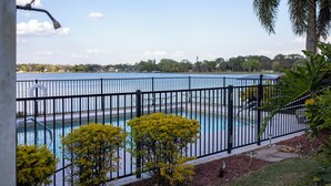 A swimming pool with a black fence, surrounded by yellow flowering bushes and a palm tree. - Lakefront Retreat with Pool (Lake Placid)