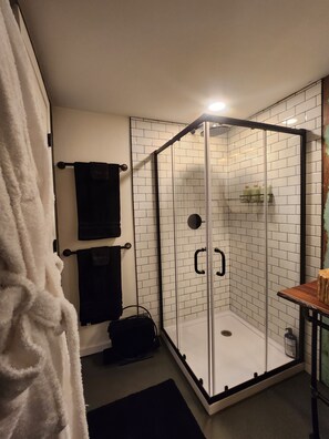 Regadera, toallas, papel de baño 