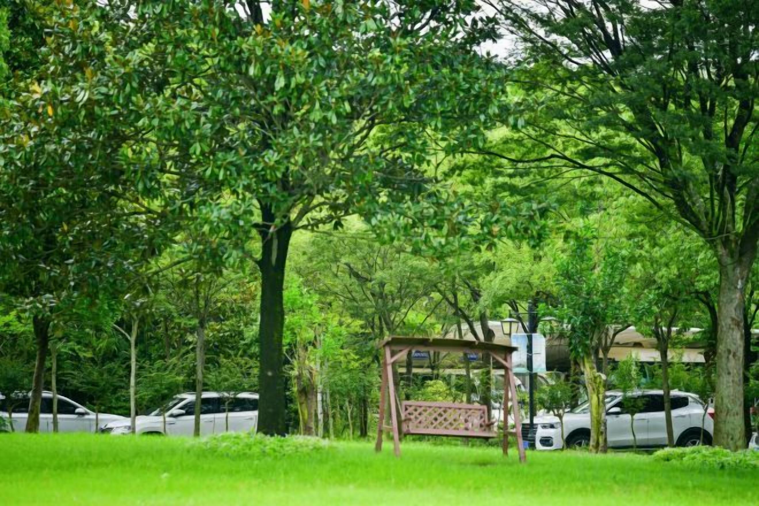 A park with a wooden gazebo, trees, and parked cars.