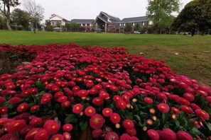 Unclassified image, 4 of 108, button - Mingzhu Lake Resort (Shanghai)