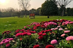 Um jardim com diversas flores e um banco ao fundo.