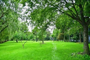 A grassy area with trees, a clear sky, and a pathway. - Mingzhu Lake Resort (Shanghai)