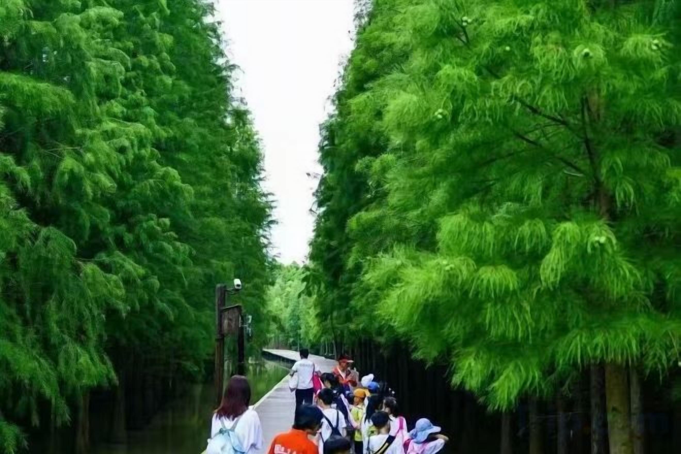 A narrow waterway flanked by dense green foliage, with people on a boat.