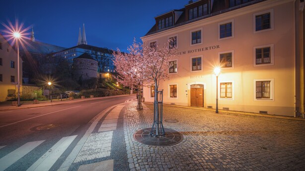 A hotel with a sign 'HOTEL HÖHERTORF' on the facade, a cobblestone street, and a tree with pink blossoms. - Hotel Zum Hothertor (Görlitz)