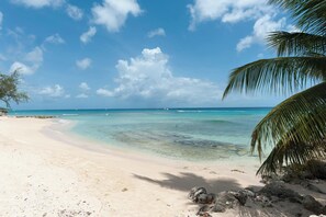 Een strand met helder turquoise water, een zandstrand en een palmpalm.