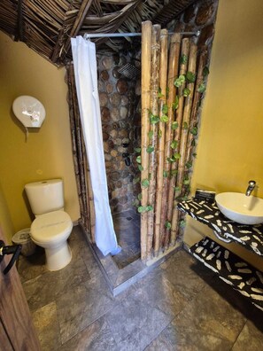 Regadera y papel de baño