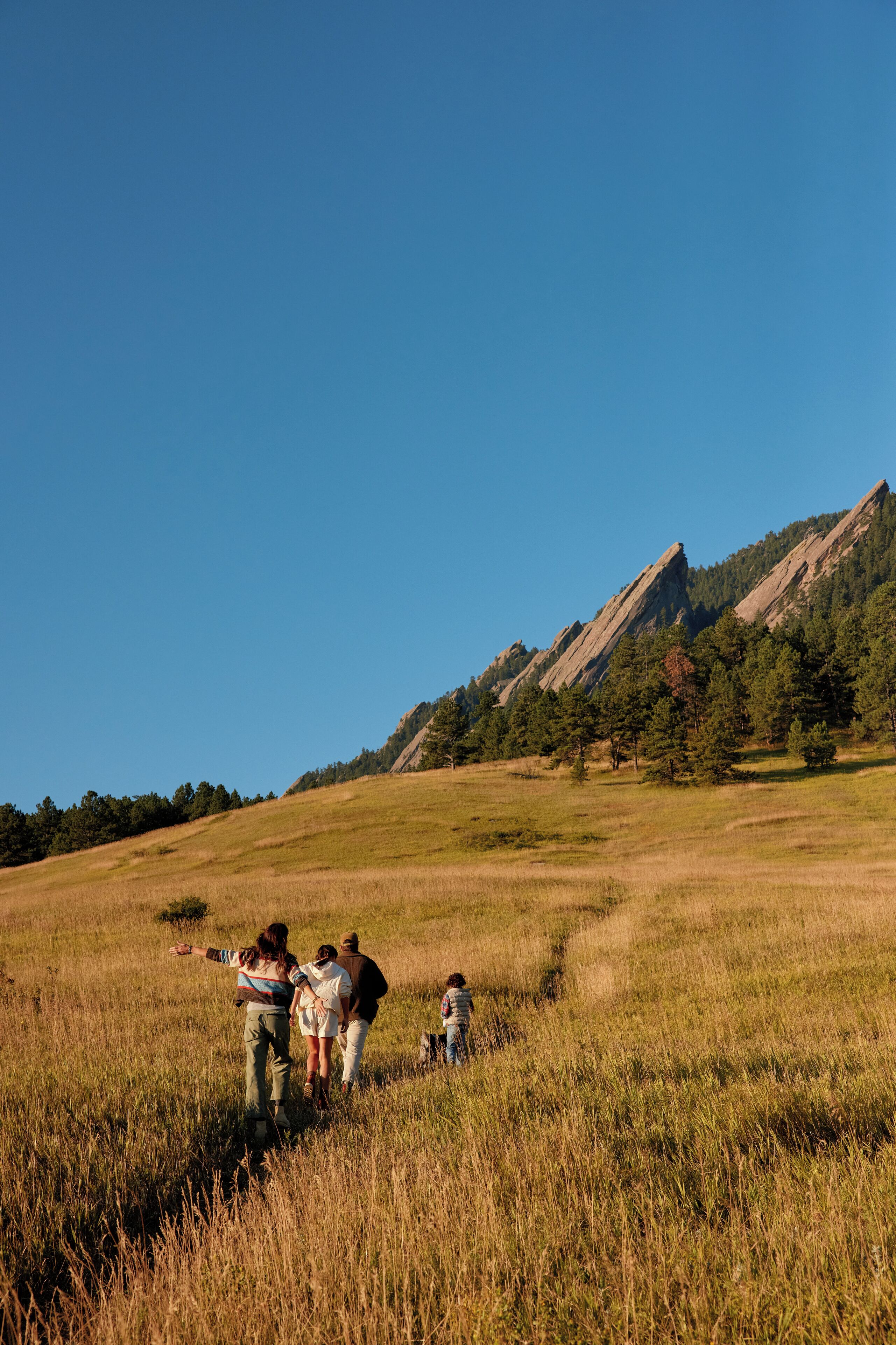 A group of people walking in a grassy field with a mountain in the background.