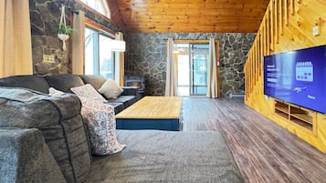Smart TV, fireplace, books