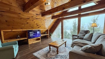Smart TV, fireplace, books