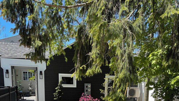 A pathway leading to a house with a black exterior, surrounded by trees and a gravel area with wooden stumps. - Charming 1-bed/2 bath Cottage WiFi,AC, Beach, Pool, Fireplace
Pool Table, Ping (South Haven)