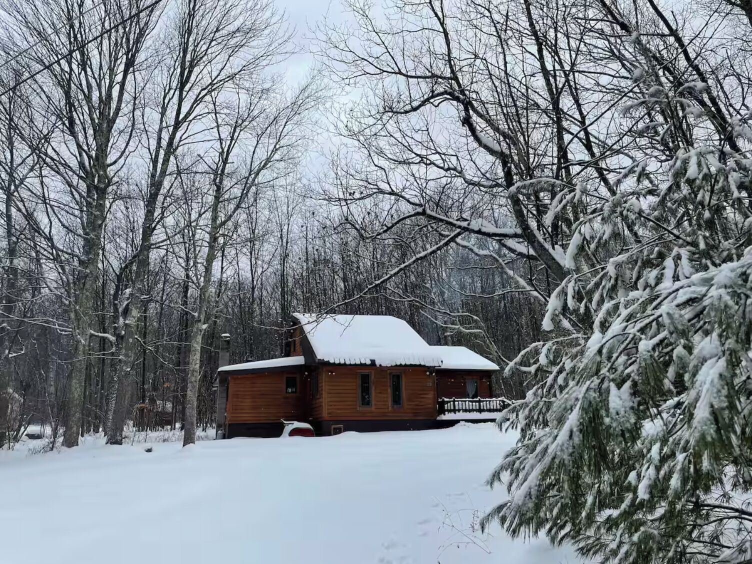 Une cabane en bois entourée d’arbres couverts de neige.