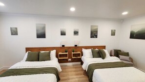 1 slaapkamer, een bureau, een strijkplank/strijkijzer, gratis wifi