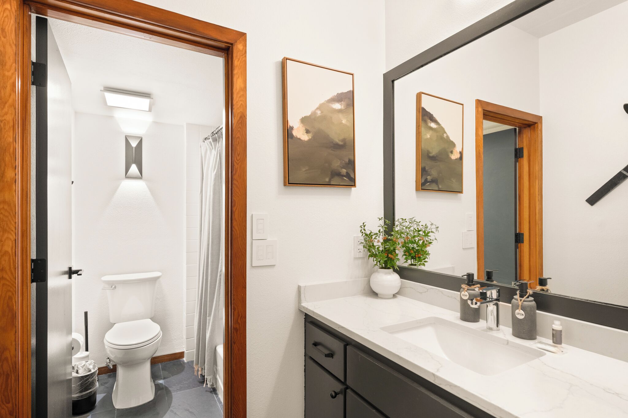 A bathroom with a toilet, shower, vanity with a mirror, and a plant.